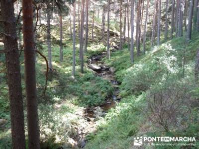 El Pico del Nevero y la Cascada del Chorro, senderismo en madrid; viajes tramuntana